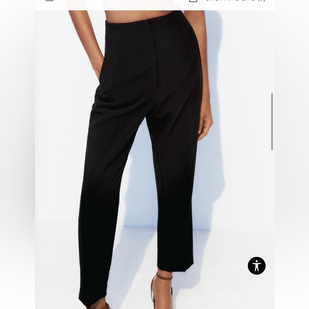 NWT Zara “Pants with a High Waist”